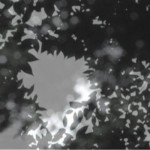 http://demo.lightizm.com/files/gimgs/th-76_71_Nostalgia2_v2.jpg